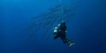 Ukrainian Diver Detained in Croatia: A Major Player in the Nord Stream Mystery