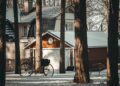 Embracing Freedom: The Inspiring Journey of Estonia’s Independence