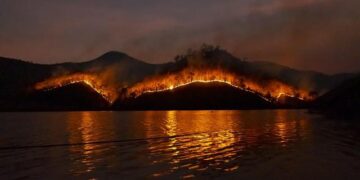 Europe Battling Devastating Wildfires in the Grip of an Unrelenting Heatwave