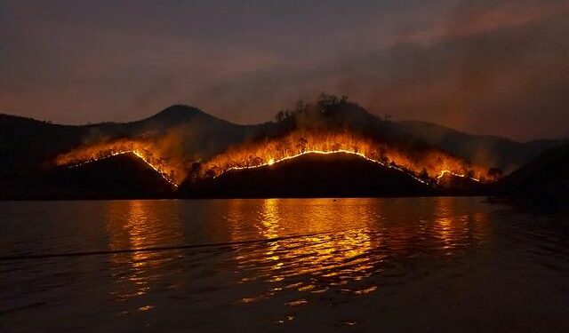 Europe Battling Devastating Wildfires in the Grip of an Unrelenting Heatwave