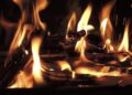 Four Arrested in Croatia for Devastating Forest Fires!