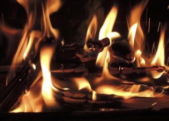 Four Arrested in Croatia for Devastating Forest Fires!