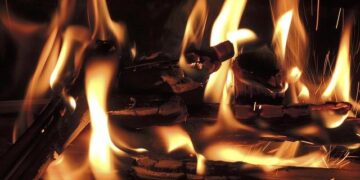 Four Arrested in Croatia for Devastating Forest Fires!