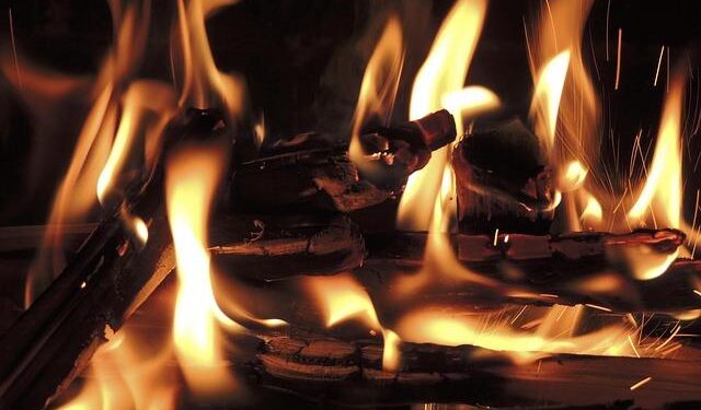 Four Arrested in Croatia for Devastating Forest Fires!