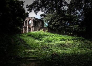 Celebrate a Decade of Black History: Don’t Miss ‘The Reunion’ at NMAAHC!