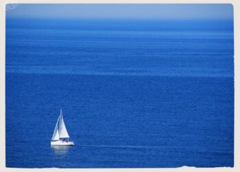Zee Announces Exciting ₹20.94 Crore Warrant Allocation to Sunbright Mauritius!