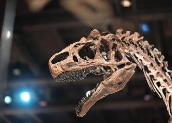 Unearthing History: The Power of Indigenous Wisdom in Revealing Lesotho’s Fossil Treasures
