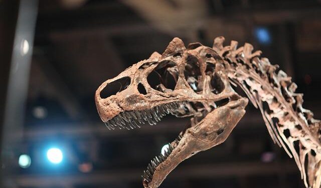 Unearthing History: The Power of Indigenous Wisdom in Revealing Lesotho’s Fossil Treasures