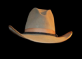 Unleashing the Spirit of Country: Cowboys and Cowgirls Bring an Unforgettable Festival to Africa!