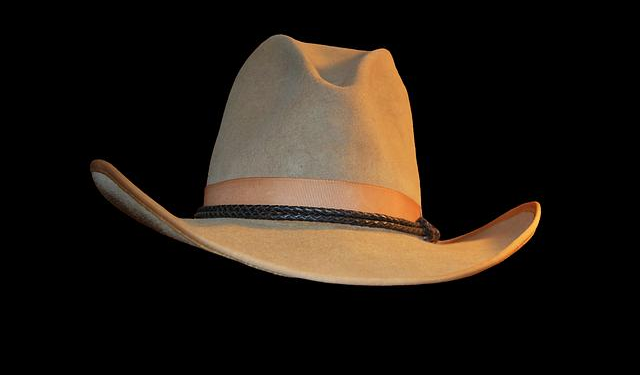 Unleashing the Spirit of Country: Cowboys and Cowgirls Bring an Unforgettable Festival to Africa!