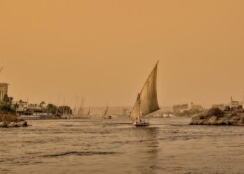 Empowering a New Generation: How Young Investors in Egypt Are Transforming Wealth Building