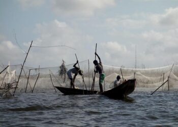 Accelerating Change: Benin’s Ambitious Road Transport Revolution