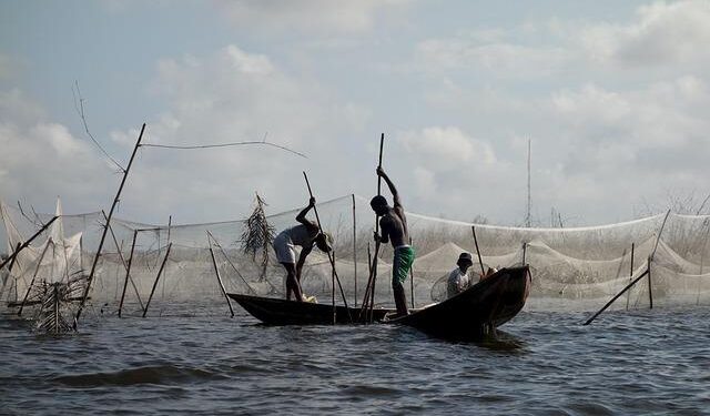 Accelerating Change: Benin’s Ambitious Road Transport Revolution