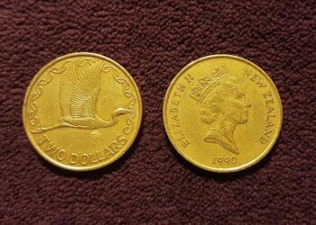 New Zealand Dollar Skyrockets: Uncovering the Forces Behind Its Multi-Month High!