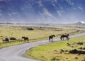 Unveiling the Secrets: A Groundbreaking Study Shatters Easter Island Myths