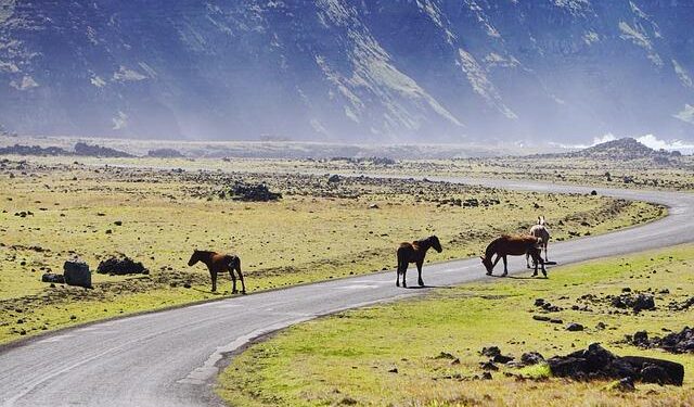 Unveiling the Secrets: A Groundbreaking Study Shatters Easter Island Myths