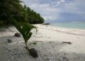 Revealing the Reality: How Often Disasters Strike American Samoa