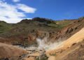 American Samoa Faces Leptospirosis Surge: Essential Insights for Residents