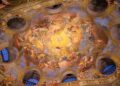 Historic Milestones Celebrated: Austria and American Samoa’s First Temples Take Center Stage!