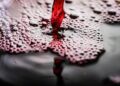 Uncover the Secrets Behind Moldova’s Timeless Wine Treasure!