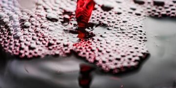 Uncover the Secrets Behind Moldova’s Timeless Wine Treasure!