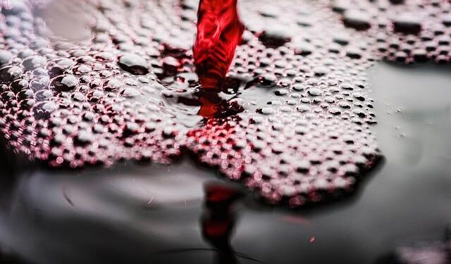 Uncover the Secrets Behind Moldova’s Timeless Wine Treasure!