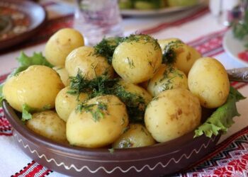 Ukrainians in Poland: Don’t Miss Your Chance to Update Your PESEL UKR!