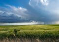 Latvia Faces ATM Chaos: Residents Urged to Stockpile Cash Amid Storm!