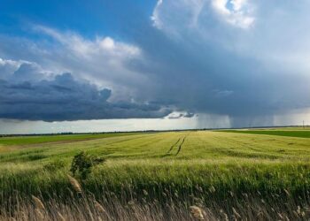 Latvia Faces ATM Chaos: Residents Urged to Stockpile Cash Amid Storm!