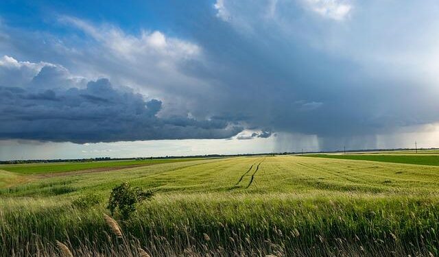 Latvia Faces ATM Chaos: Residents Urged to Stockpile Cash Amid Storm!