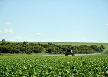 Heartbreaking Loss: Two Lives Cut Short in Tragic Tractor Accidents in Latvia