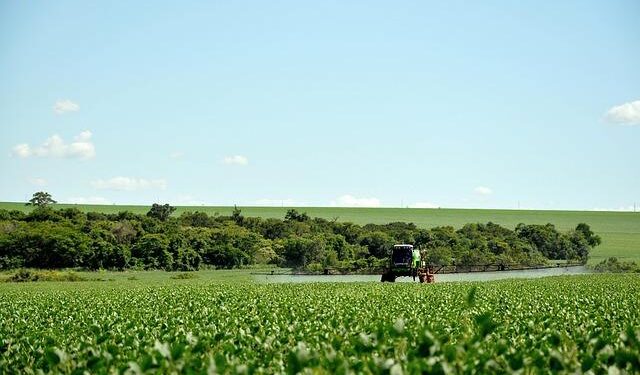 Heartbreaking Loss: Two Lives Cut Short in Tragic Tractor Accidents in Latvia