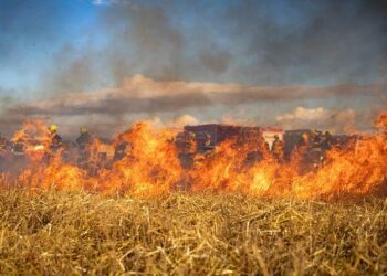Raging Inferno in Belgium: 3,000 Hectares Burned and Evacuations Underway as EU Mobilizes Aircraft