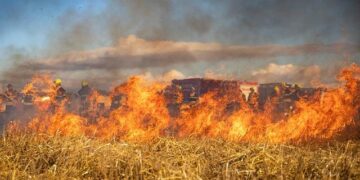 Raging Inferno in Belgium: 3,000 Hectares Burned and Evacuations Underway as EU Mobilizes Aircraft
