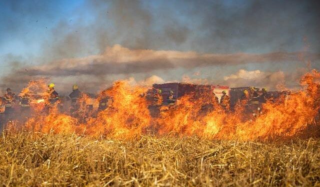 Raging Inferno in Belgium: 3,000 Hectares Burned and Evacuations Underway as EU Mobilizes Aircraft