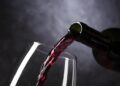 Uncorking Potential: Discover Ireland’s Thriving Wine Revolution
