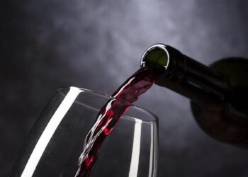Uncorking Potential: Discover Ireland’s Thriving Wine Revolution