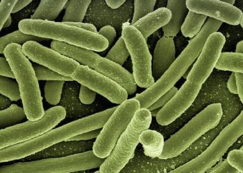 Confronting the Crisis: The Growing Threat of Drug-Resistant Infections in Asian Hospitals