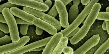 Confronting the Crisis: The Growing Threat of Drug-Resistant Infections in Asian Hospitals