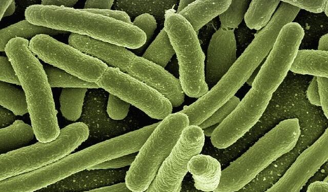 Confronting the Crisis: The Growing Threat of Drug-Resistant Infections in Asian Hospitals