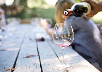 Uncork the Best of Austria: Your Ultimate Guide to 180+ Expert-Approved Wines!