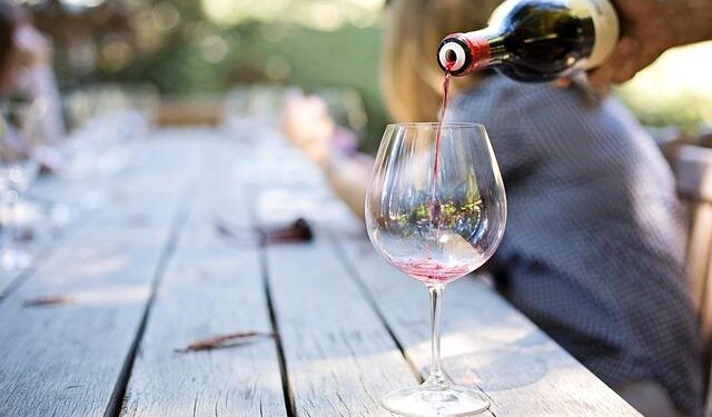 Uncork the Best of Austria: Your Ultimate Guide to 180+ Expert-Approved Wines!