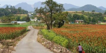 Why African Nations Are Ditching the Dollar: A Shift in Economic Power