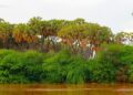 Somalia and Somaliland: Unraveling the Complexities of Independence and Global Law