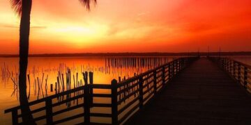 Benin’s Finance Minister Triumphs in a Stunning Presidential Election Upset!