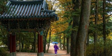 South Korea’s Victory Against the Czech Republic: Unraveling the Enigma of the Empty Seats at the World Cup’s Second Match