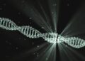 Unearthing History: Ancient Antelope DNA Sheds Light on Our Past