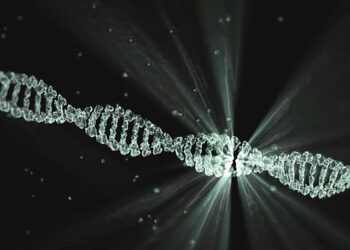 Unearthing History: Ancient Antelope DNA Sheds Light on Our Past