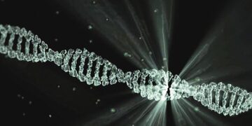 Unearthing History: Ancient Antelope DNA Sheds Light on Our Past