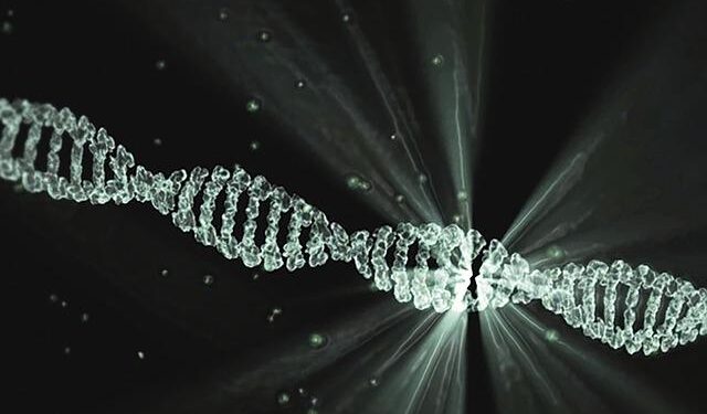 Unearthing History: Ancient Antelope DNA Sheds Light on Our Past